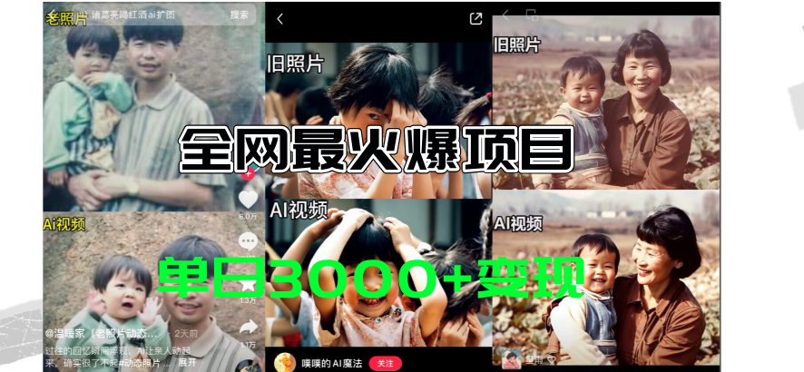 （11546期）全网爆火的AI让老照片动起来教程，蹭热点日赚3000+，内含免费工具一键…-琴书聊项目