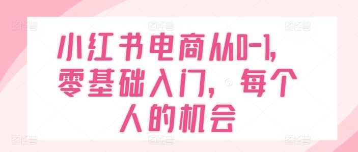 小红书电商从0-1，零基础入门，每个人的机会-琴书聊项目