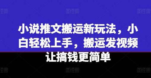 小说推文搬运新玩法，小白轻松上手，搬运发视频让搞钱更简单-琴书聊项目