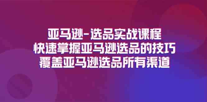 亚马逊选品实战课程，快速掌握亚马逊选品的技巧，覆盖亚马逊选品所有渠道-琴书聊项目