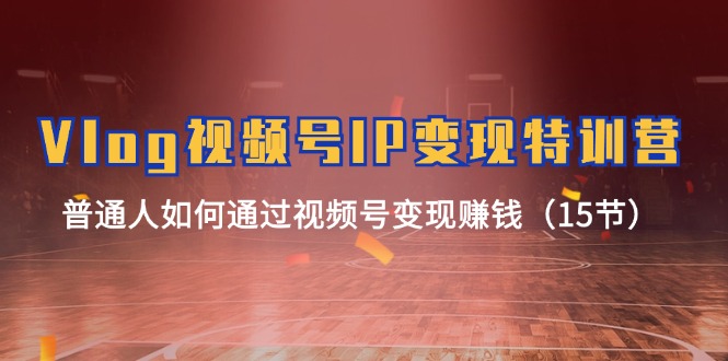 （11654期）Vlog 视频号IP变现特训营，普通人如何通过视频号变现赚钱（15节）-琴书聊项目