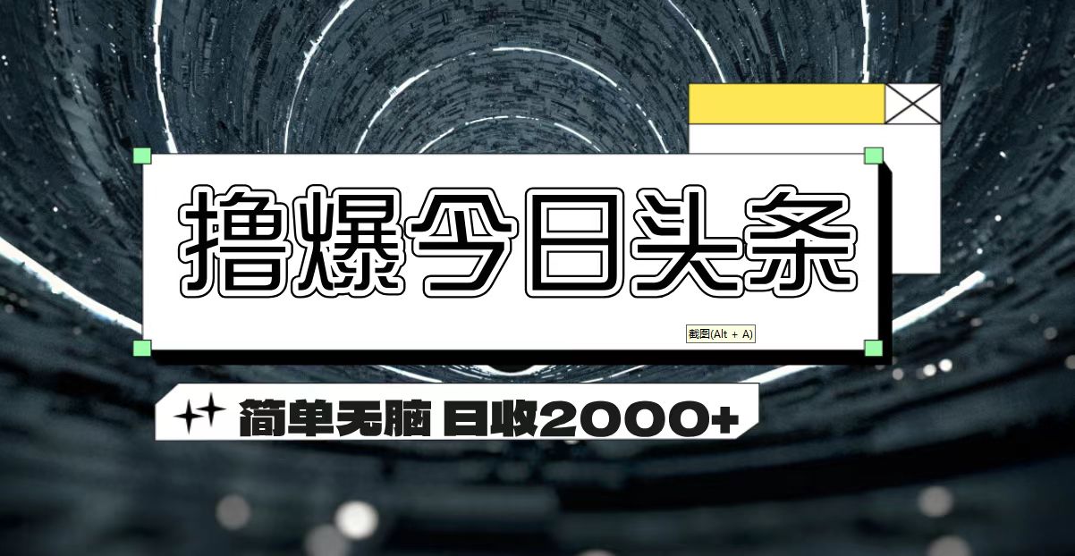 （11665期）撸爆今日头条 简单无脑操作 日收2000+-琴书聊项目