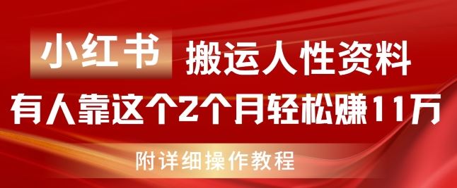 小红书搬运人性资料，有人靠这个2个月轻松赚11w，附教程【揭秘】-琴书聊项目