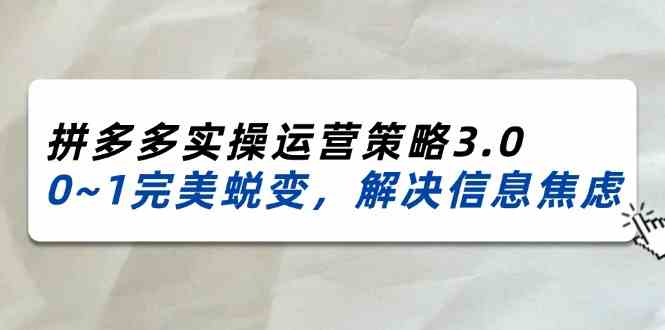 2024-2025拼多多实操运营策略3.0，0~1完美蜕变，解决信息焦虑（38节）-琴书聊项目
