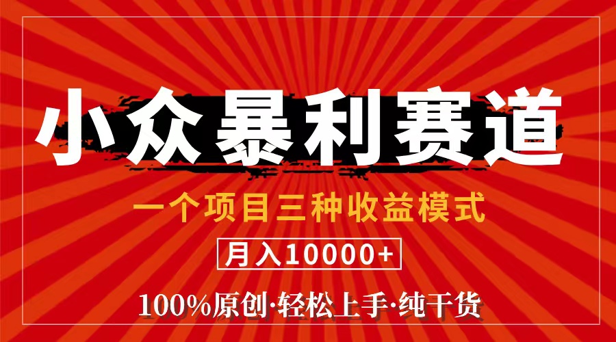 (11695期)视频号【中老年粉深信不疑】小众赛道 100%原创 手把手教学 新号3天收益…-琴书聊项目