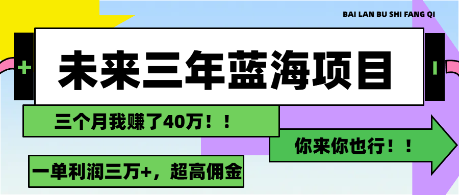 （11716期）未来三年，蓝海赛道，月入3万+-琴书聊项目