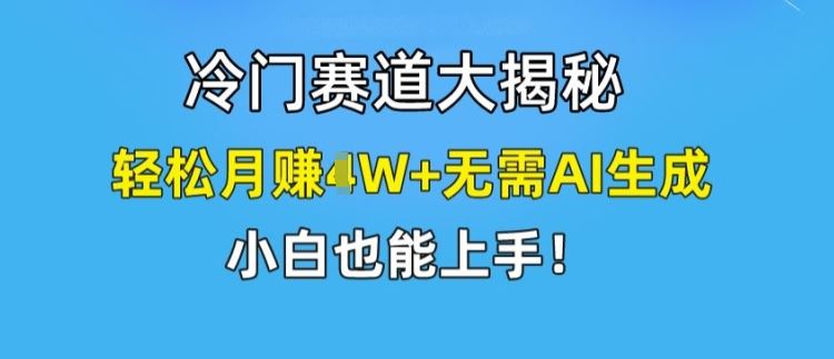 冷门赛道大揭秘，轻松月赚1W+无需AI生成，小白也能上手【揭秘】-琴书聊项目