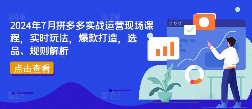 2024年7月拼多多实战运营现场课程，实时玩法，爆款打造，选品、规则解析-琴书聊项目