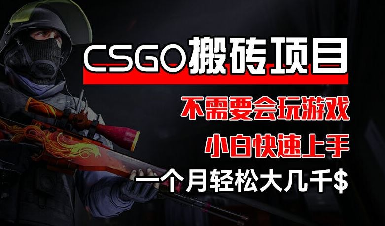CSGO 装备搬砖项目，操作简单，不需要会玩游戏，小白也能快速上手，一个月轻松大几千【揭秘】-琴书聊项目