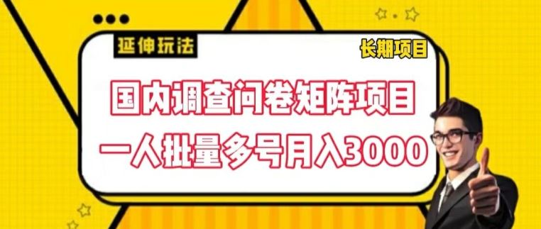 国内调查问卷矩阵项目，一人批量多号月入3000【揭秘】-琴书聊项目