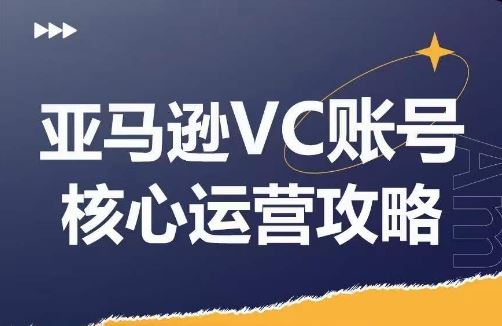 亚马逊VC账号核心玩法解析，实战经验拆解产品模块运营技巧，提升店铺GMV，有效提升运营利润-琴书聊项目