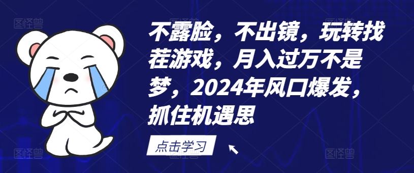 不露脸，不出镜，玩转找茬游戏，月入过万不是梦，2024年风口爆发，抓住机遇【揭秘】-琴书聊项目
