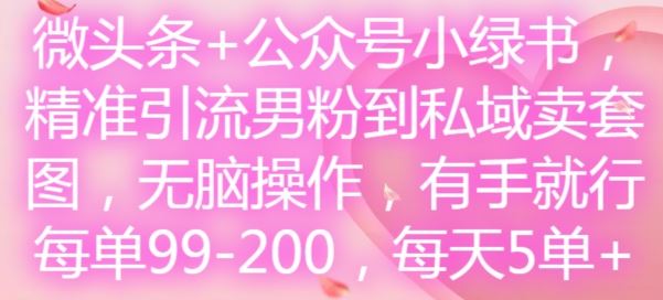 微头条+公众号小绿书，精准引流男粉到私域卖套图，无脑操作，有手就行，每单99-200，每天5单-琴书聊项目