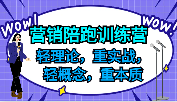 营销陪跑训练营，轻理论，重实战，轻概念，重本质，适合中小企业和初创企业的老板-琴书聊项目