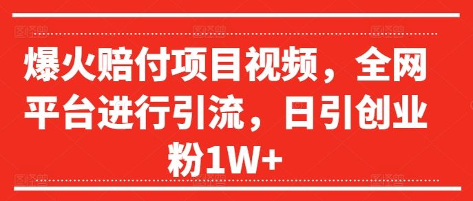 爆火赔付项目视频，全网平台进行引流，日引创业粉1W+【揭秘】-琴书聊项目