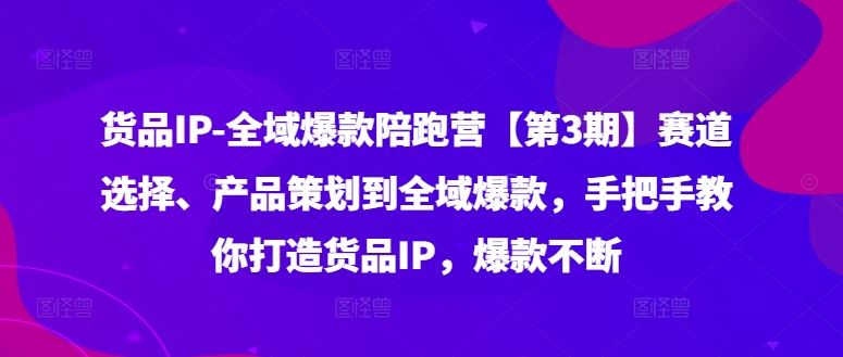 货品IP全域爆款陪跑营【第3期】赛道选择、产品策划到全域爆款,手把手教你打造货品IP,爆款不断-琴书聊项目