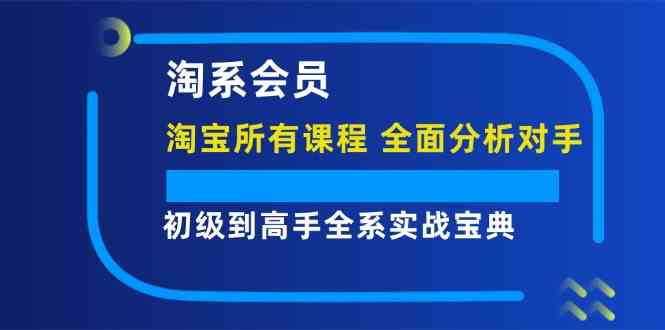淘系会员初级到高手全系实战宝典【淘宝所有课程，全面分析对手】-琴书聊项目