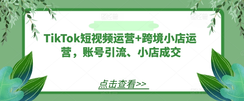 TikTok短视频运营+跨境小店运营，账号引流、小店成交-琴书聊项目