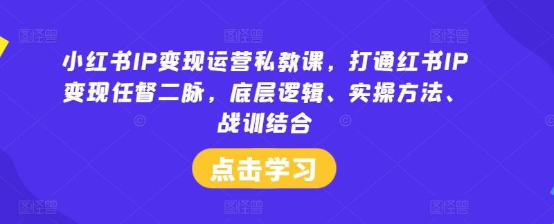小红书IP变现运营私教课，打通红书IP变现任督二脉，底层逻辑、实操方法、战训结合-琴书聊项目