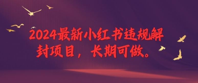 2024最新小红书违规解封项目，长期可做，一个可以做到退休的项目【揭秘】-琴书聊项目