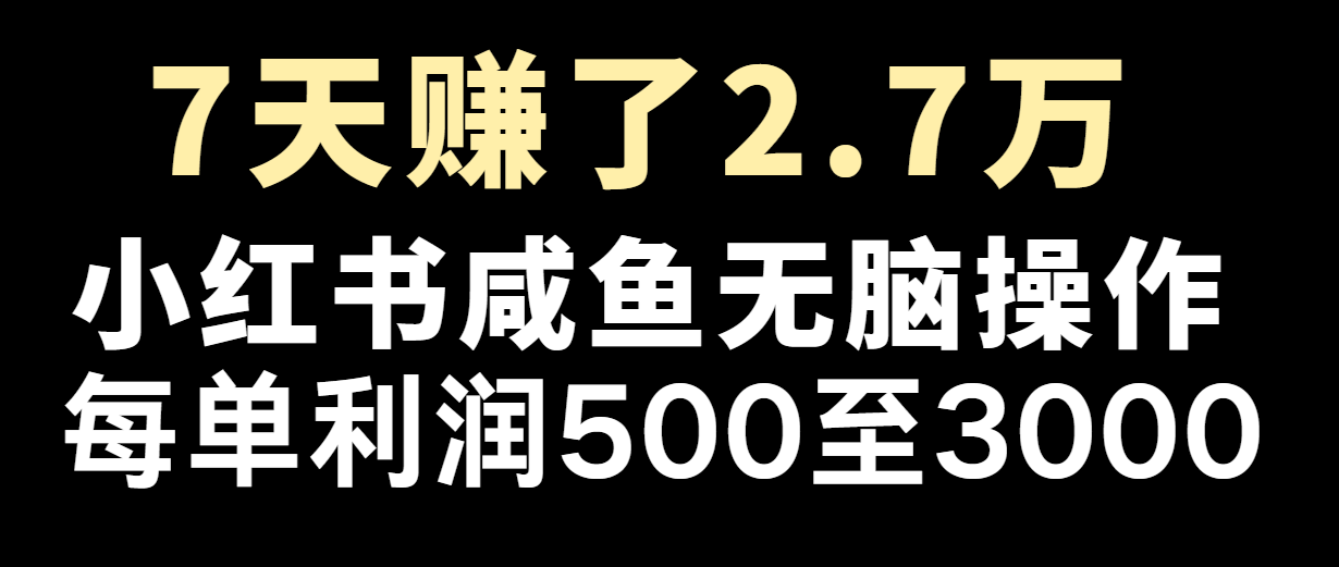 七天赚了2.7万！每单利润最少500+，轻松月入5万+小白有手就行-琴书聊项目