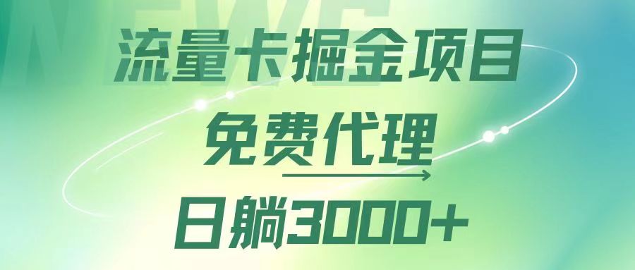 （12321期）流量卡掘金代理，日躺赚3000+，变现暴力，多种推广途径-琴书聊项目