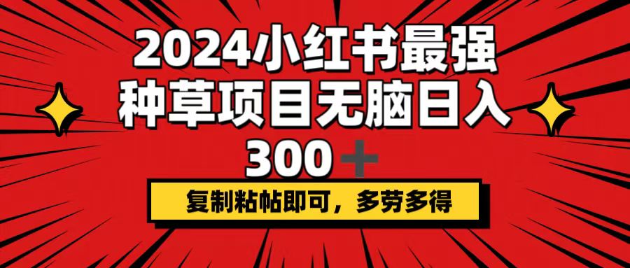 （12336期）2024小红书最强种草项目，无脑日入300+，复制粘帖即可，多劳多得-琴书聊项目