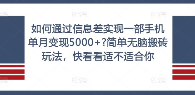 如何通过信息差实现一部手机单月变现5000+?简单无脑搬砖玩法，快看看适不适合你【揭秘】-琴书聊项目