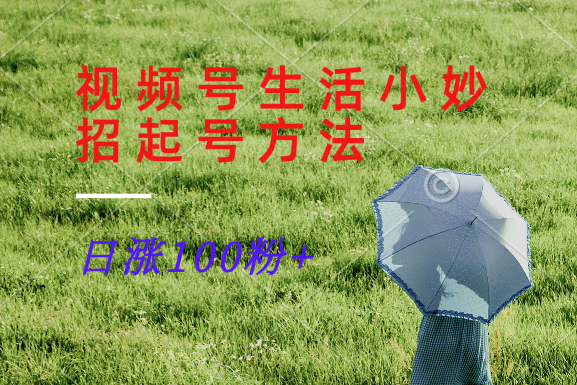 视频号生活小妙招分享赛道， 起号涨粉新方法，日涨100粉-琴书聊项目