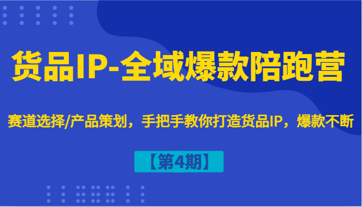 货品IP-全域爆款陪跑营【第4期】赛道选择/产品策划，手把手教你打造货品IP，爆款不断-琴书聊项目