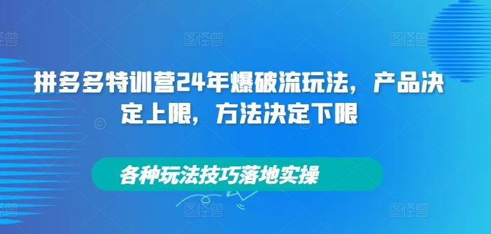拼多多特训营24年爆破流玩法，产品决定上限，方法决定下限，各种玩法技巧落地实操-琴书聊项目