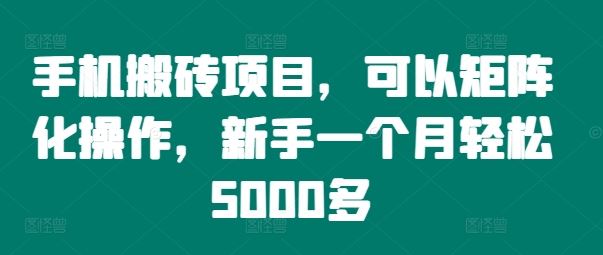 手机搬砖项目，可以矩阵化操作，新手一个月轻松5000多-琴书聊项目