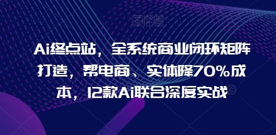 Ai终点站，全系统商业闭环矩阵打造，帮电商、实体降70%成本，12款Ai联合深度实战【0906更新】-琴书聊项目