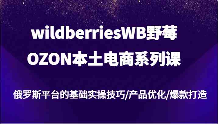 wildberriesWB野莓/OZON本土电商系列课，俄罗斯平台的基础实操技巧/产品优化/爆款打造-琴书聊项目