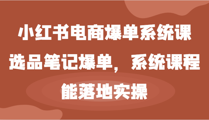 小红书电商爆单系统课-选品笔记爆单，系统课程，能落地实操-琴书聊项目