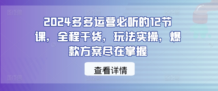 2024多多运营必听的12节课，全程干货，玩法实操，爆款方案尽在掌握-琴书聊项目