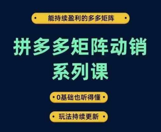 拼多多矩阵动销系列课，能持续盈利的多多矩阵，0基础也听得懂，玩法持续更新-琴书聊项目