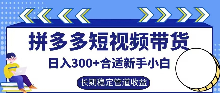 拼多多短视频带货日入300+有长期稳定被动收益，合适新手小白【揭秘】-琴书聊项目