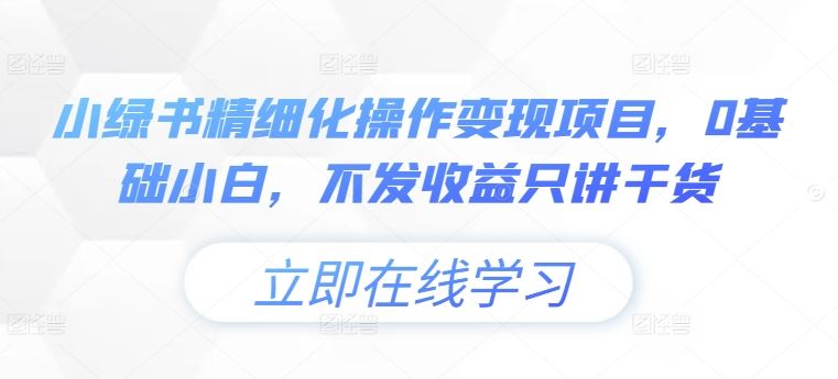 小绿书精细化操作变现项目，0基础小白，不发收益只讲干货-琴书聊项目