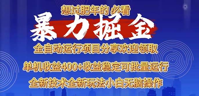 （13675期）2025暴力掘金项目，想过肥年必看！-琴书聊项目