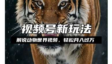 利用动物世界解说视频，赚分成计划收益，轻松月入过W，操作简单【揭秘】-琴书聊项目