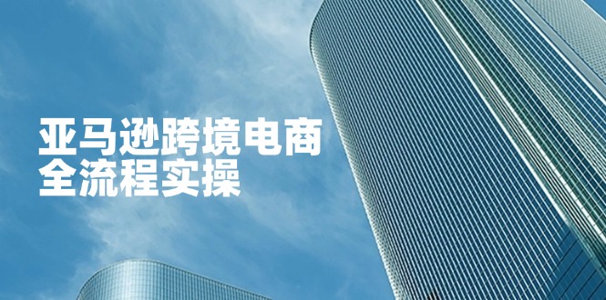 亚马逊跨境电商全流程实操，教你从零开始，掌握店铺运营与广告技巧-琴书聊项目