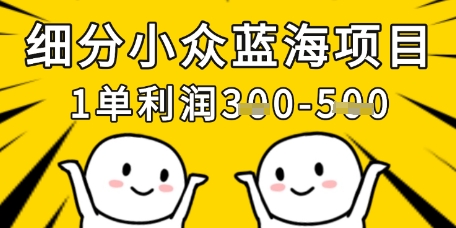 细分小众蓝海项目，一单利润3张，每月收入稳定过1w+-琴书聊项目
