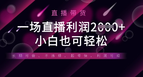 半无人直播带货，一场利润数张，适合所有平台玩法，小白也可轻松-琴书聊项目