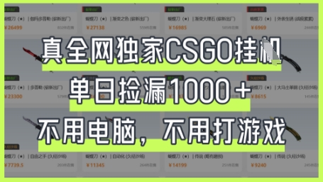 真全网独家CSGO挂G，单日捡漏1k+【揭秘】-琴书聊项目