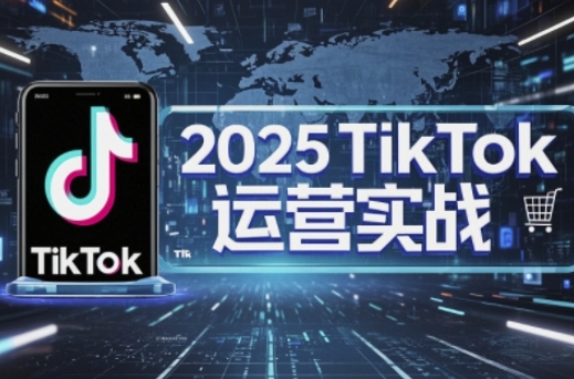 2025TikTok电商运营，掌握TikTok店铺运营核心技巧，实现低成本高转化-琴书聊项目