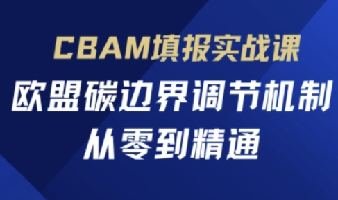 CBAM填报实战课，欧盟碳边界调节机制，从零到精通-琴书聊项目