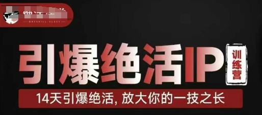 引爆绝活IP训练营，14天引爆绝活，放大你的一技之长-琴书聊项目