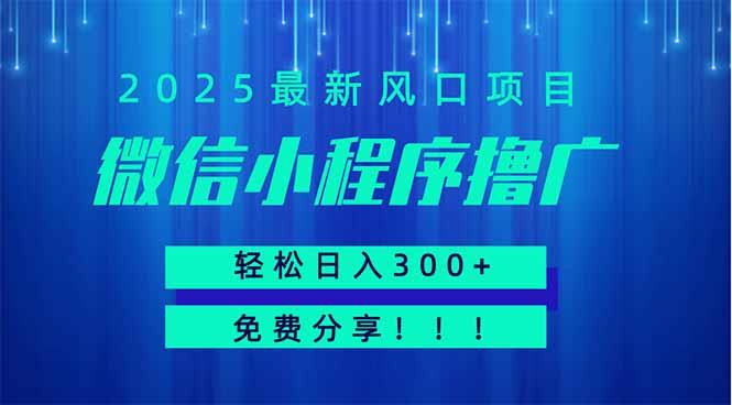 微信小程序撸广，最新风口项目，日入300+ 免费分享 可批量操作 小白可…-琴书聊项目