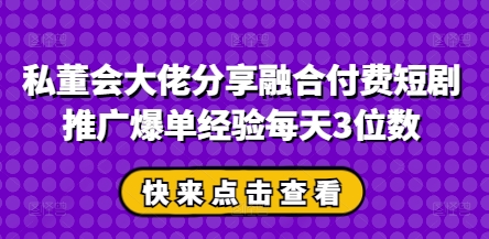 私董会大佬分享融合付费短剧推广爆单经验每天3位数-琴书聊项目
